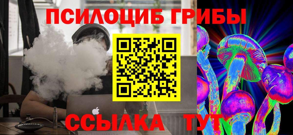 Новошахтинск  Псилоцибиновые грибы Magic Shrooms  где можно купить наркотик  Вход с VPN 