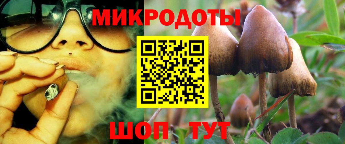 Галлюциногенные грибы GOLDEN TEACHER Новошахтинск