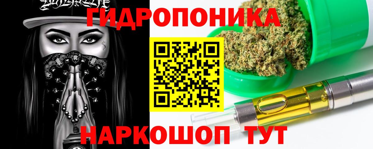 Марихуана планчик  Бошки марихуана планчик  Вход с VPN  Новошахтинск  Конопля сатива 